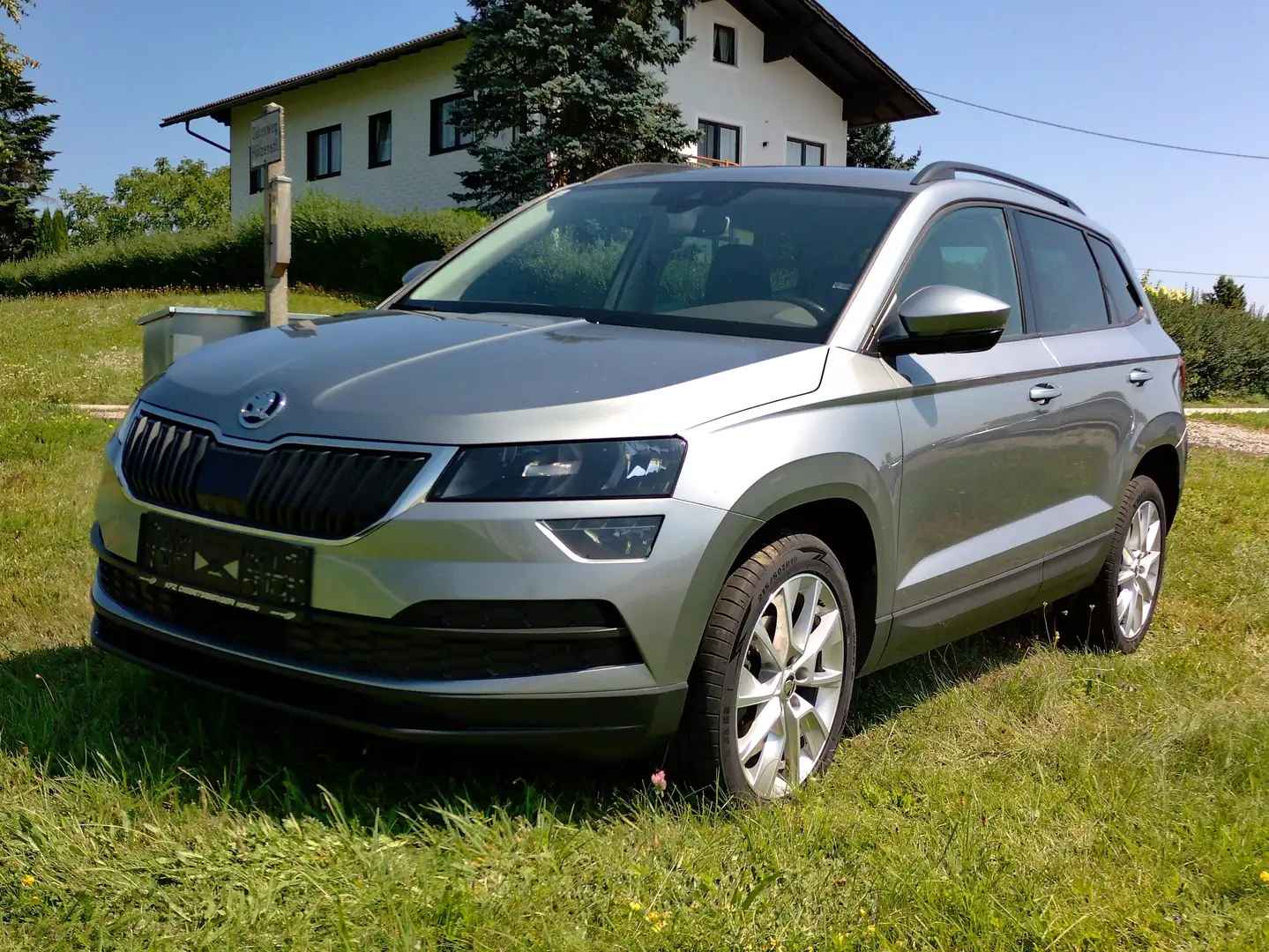 Skoda Karoq Style Grau - 2