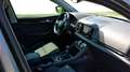 Skoda Karoq Style Grau - thumbnail 14