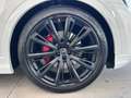 Audi Q8 Q8 SUV 45 TDI quattro tiptronic S line edition Blanc - thumbnail 13