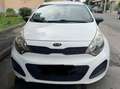 Kia Rio Rio 5p 1.1 crdi wgt LX Bianco - thumbnail 2