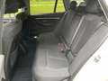 BMW 318 i T. SportS. Kamera Sitzh.Navi LED DAB/CD AHK Bianco - thumbnail 14