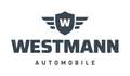 Volkswagen Tiguan Allspace IQ.DRIVE/PANO/SHZ/LED/7SITZE/ACC Albastru - thumbnail 30