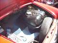 Autobianchi Sonstige Bianchina Cabrio 1960 Rot - thumbnail 9