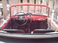 Autobianchi Sonstige Bianchina Cabrio 1960 Rot - thumbnail 10