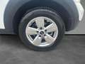 MINI Cooper D Countryman 2.0 D Cooper D Business Auto Bianco - thumbnail 10