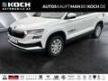 Skoda Karoq 1.5 TSI ACT Balance NAVI,ACC, AHK MATRIX LED Weiß - thumbnail 1