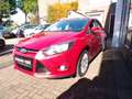 Ford Focus 1.6 TI-VCT Red Edition 5-Drs,48 DKM, TOP STAAT! Rot - thumbnail 3