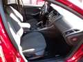 Ford Focus 1.6 TI-VCT Red Edition 5-Drs,48 DKM, TOP STAAT! Rot - thumbnail 7