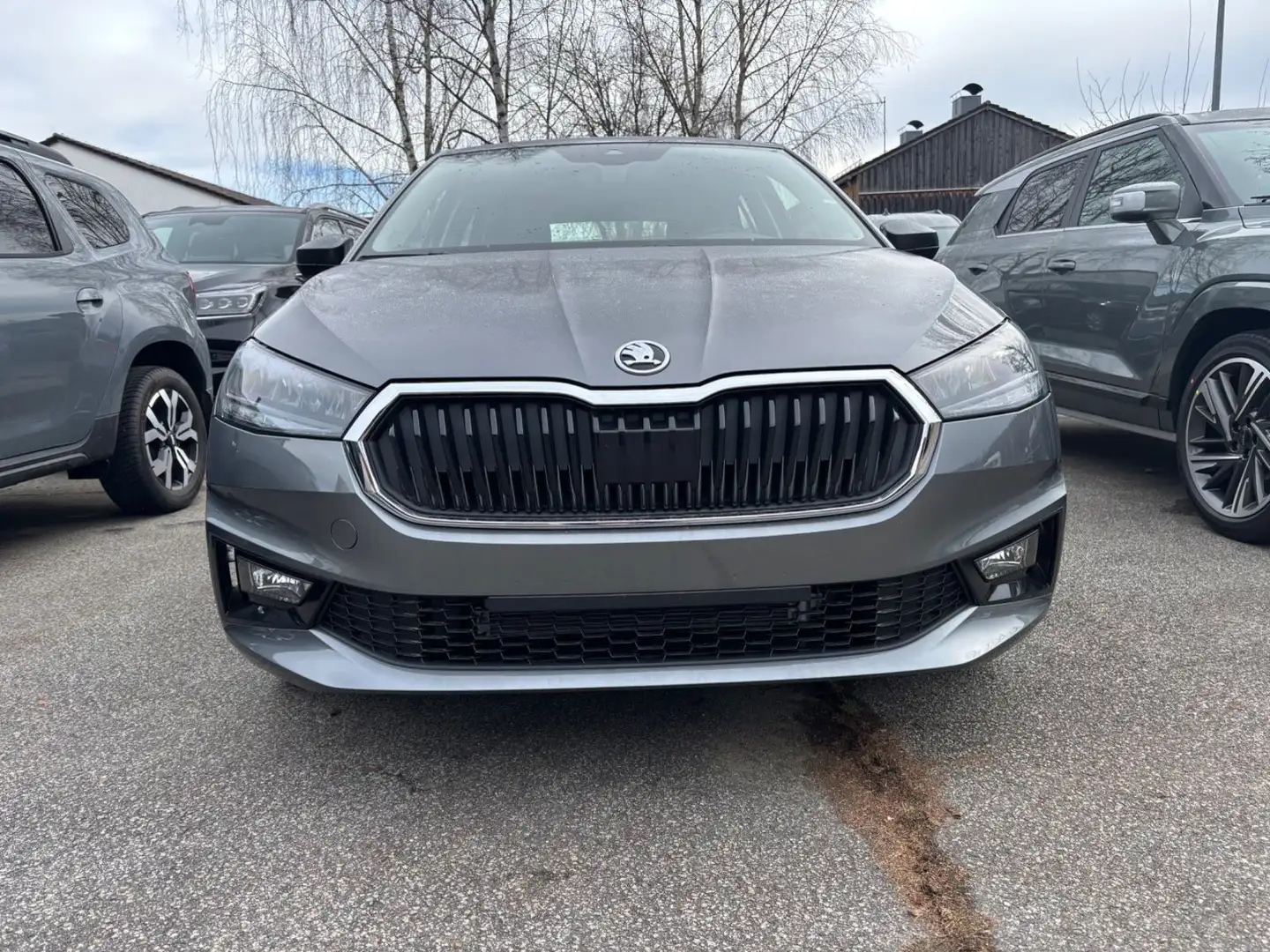Skoda Fabia Selection Grau - 1