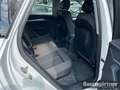 Audi Q5 40 TDI Quattro Proline Advanced S-Tronic AHK Bianco - thumbnail 11