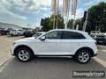 Audi Q5 40 TDI Quattro Proline Advanced S-Tronic AHK Bianco - thumbnail 15