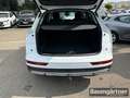 Audi Q5 40 TDI Quattro Proline Advanced S-Tronic AHK Bianco - thumbnail 14