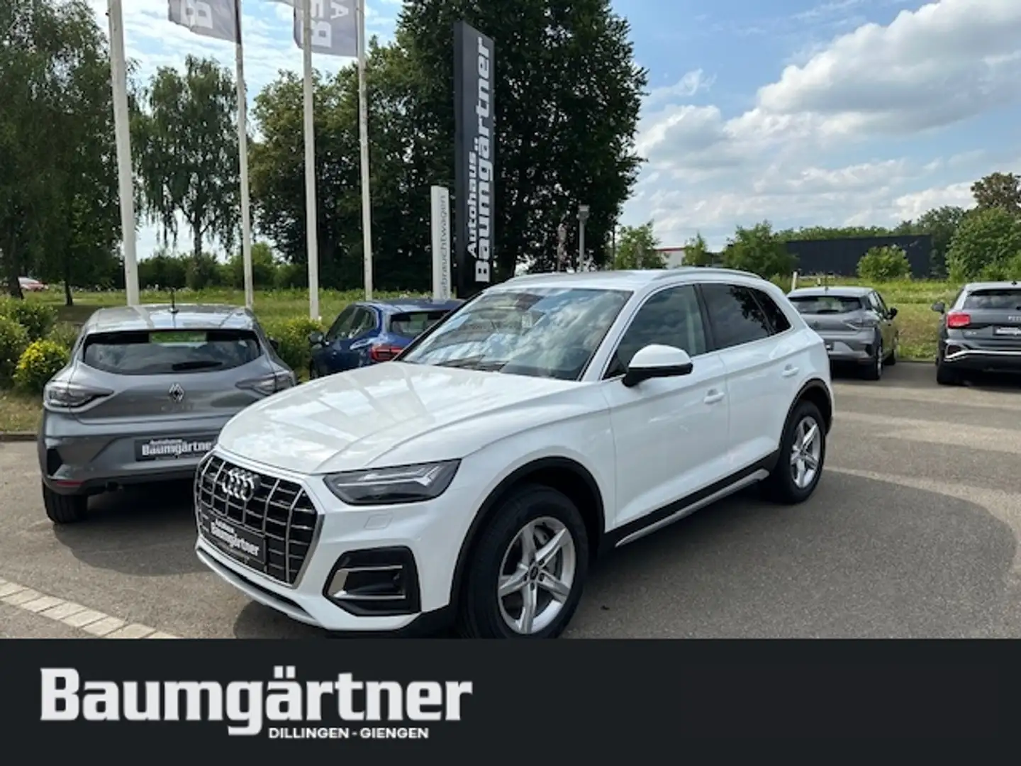 Audi Q5 40 TDI Quattro Proline Advanced S-Tronic AHK Weiß - 1