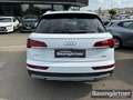 Audi Q5 40 TDI Quattro Proline Advanced S-Tronic AHK Bianco - thumbnail 5