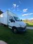 Iveco Daily 35 C 15 L  3,0 Weiß - thumbnail 3