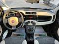 Fiat Panda Panda 4X4 0.9 t.air turbo  85cv E6 Blauw - thumbnail 5