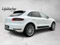 Porsche Macan S 3.0 21 Zoll Räder LED Shz Weiß - thumbnail 7
