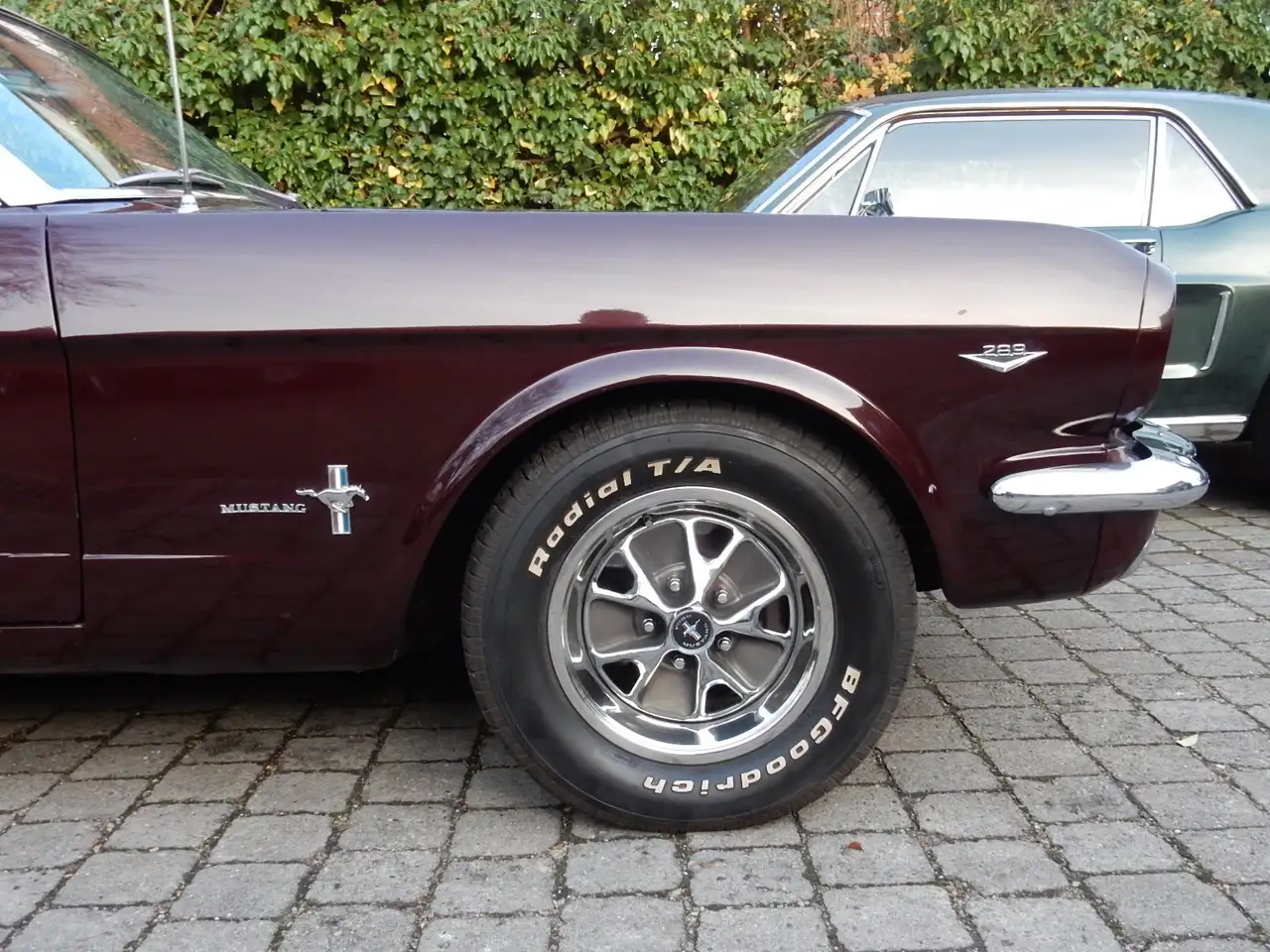 Ford Mustang Cabrio V8, foto 5