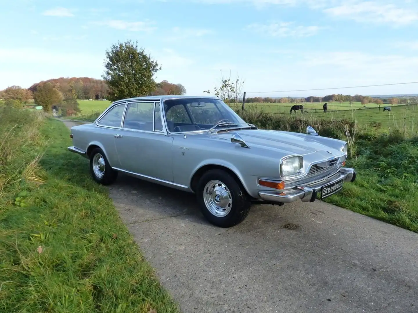 BMW BMW Glas 3000 V8 - äußerst selten Argent - 2