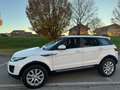 Land Rover Range Rover Evoque 5p 2.0 td4 SE Dynamic 150cv my18 Blanc - thumbnail 1