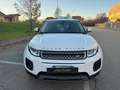 Land Rover Range Rover Evoque 5p 2.0 td4 SE Dynamic 150cv my18 Blanc - thumbnail 2