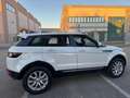 Land Rover Range Rover Evoque 5p 2.0 td4 SE Dynamic 150cv my18 Blanc - thumbnail 6