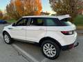 Land Rover Range Rover Evoque 5p 2.0 td4 SE Dynamic 150cv my18 Blanc - thumbnail 5