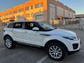 Land Rover Range Rover Evoque 5p 2.0 td4 SE Dynamic 150cv my18 Blanc - thumbnail 3