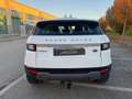 Land Rover Range Rover Evoque 5p 2.0 td4 SE Dynamic 150cv my18 Blanc - thumbnail 4