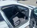 Volkswagen Polo 1.0 TSI Life 70kW Blanc - thumbnail 18