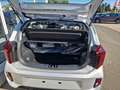 Kia Picanto 1,0 GDI Vision Navi Kamera Sitzhzg Klima Alu Silber - thumbnail 12