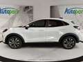 Ford Puma Titanium Weiß - thumbnail 4