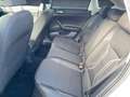 Volkswagen Taigo Style 1.0 TSI DSG AHK+ACC+Navi+RearView Weiß - thumbnail 13
