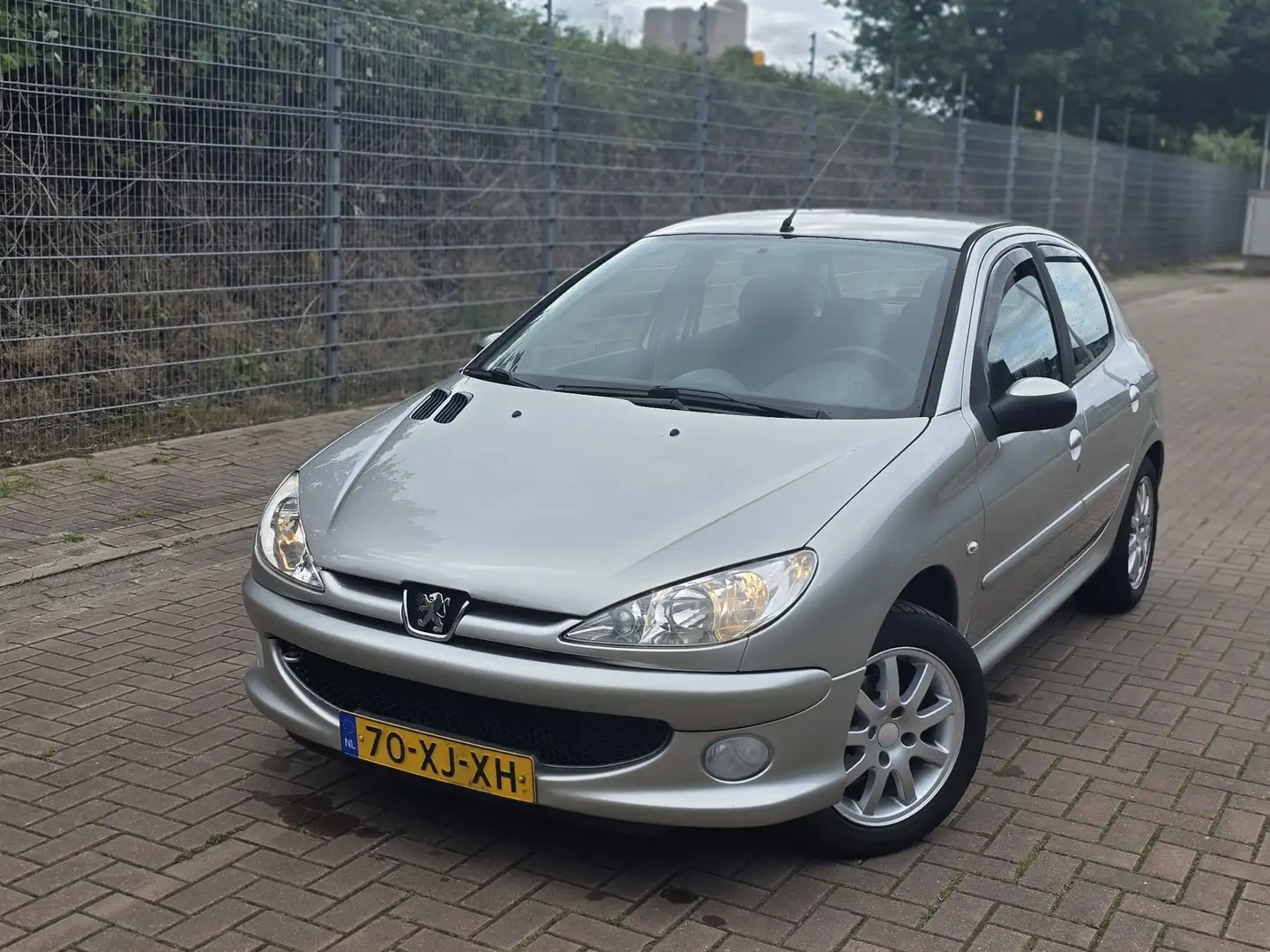 Peugeot 206 1.4 Forever Plateado - 1