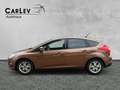 Ford Focus Lim. Trend Zahnriemen neu AluF - thumbnail 4