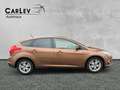Ford Focus Lim. Trend Zahnriemen neu AluF - thumbnail 8