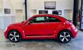 Volkswagen Beetle 1.4 TSI DSG R-Line Sport+Bi-Xenon+18" Alu Rouge - thumbnail 2