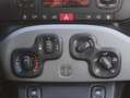 Fiat Panda 0.9 TwinAir Edizione Cool 5D | AIRCO | LM VELGEN | Blanc - thumbnail 14