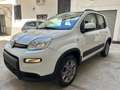 Fiat Panda Panda 1.3 mjt 16v 4x4 75cv Bianco - thumbnail 3