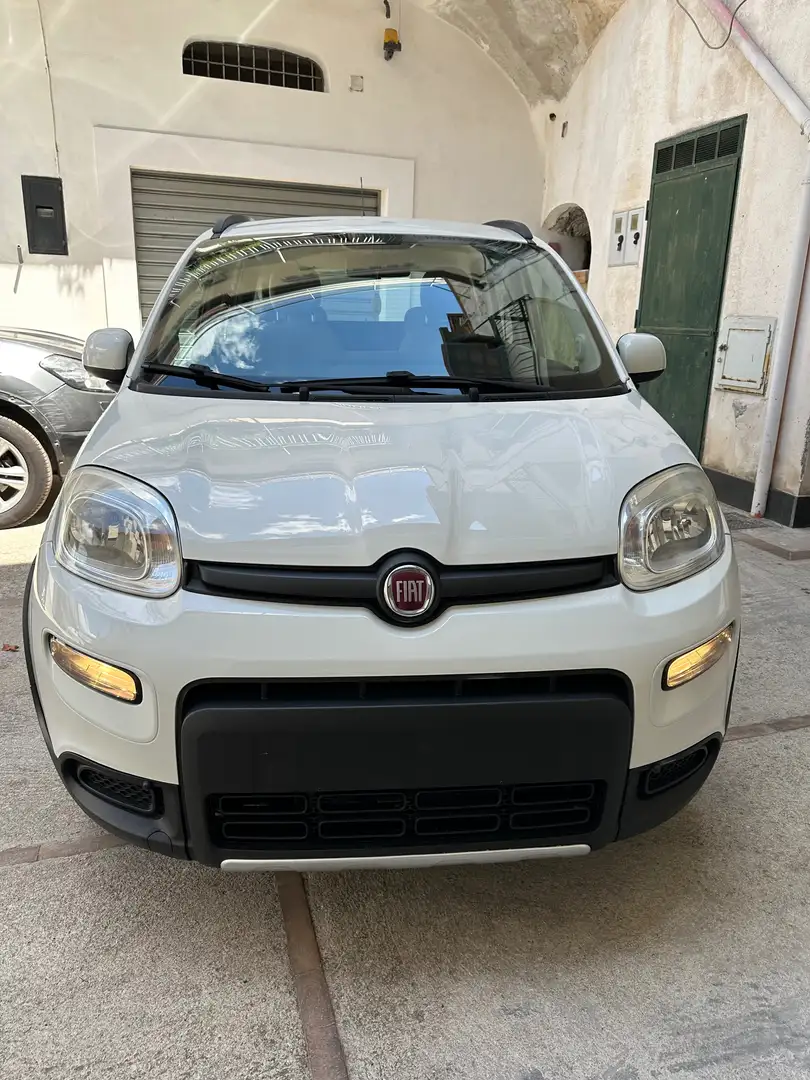 Fiat Panda Panda 1.3 mjt 16v 4x4 75cv Bianco - 1