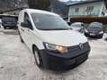 Volkswagen Caddy Caddy 2,0 TDI - thumbnail 2