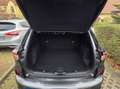 Ford Kuga ST-LINE X PHEV 165KW Vollaustattung TÜV Neu Grau - thumbnail 9