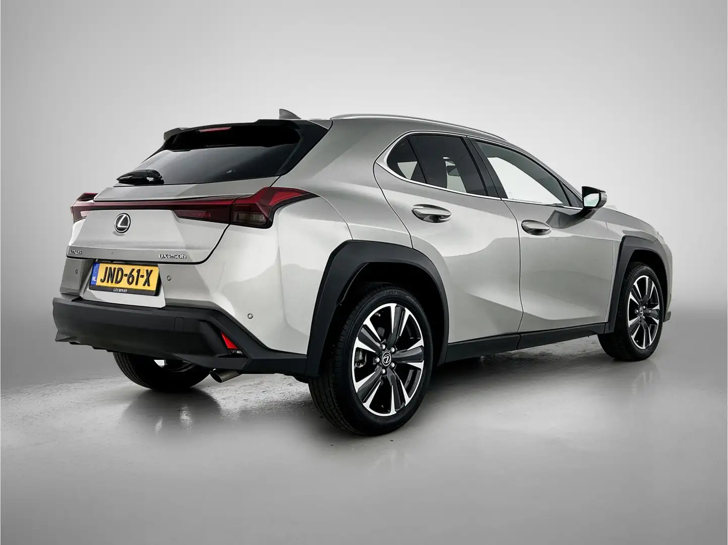 Lexus UX 250h Business Line | Lederen bekleding | Stoelverwarmin Grau - 2