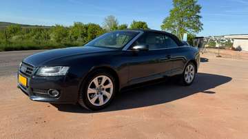 Cabrio 2.0 TDI DPF