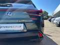 Lexus UX 250h 250h Hybrid Executive CVT KM CERTIFICATI - IVA ES Verde - thumbnail 5