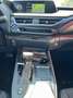 Lexus UX 250h 250h Hybrid Executive CVT KM CERTIFICATI - IVA ES Verde - thumbnail 15