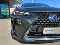 Lexus UX 250h 250h Hybrid Executive CVT KM CERTIFICATI - IVA ES Verde - thumbnail 6