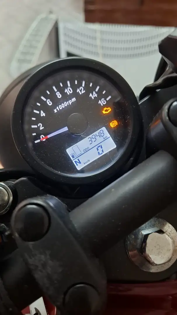 Brixton Cromwell 250 Oranje - 2