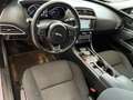 Jaguar XE 2.0 D Turbo 180CV aut. Pure Business *AUTOMATICA* Srebrny - thumbnail 7