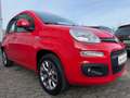 Fiat Panda 1,2 51kW 69PS Lounge/Klima/PDC/24tkm Rot - thumbnail 4